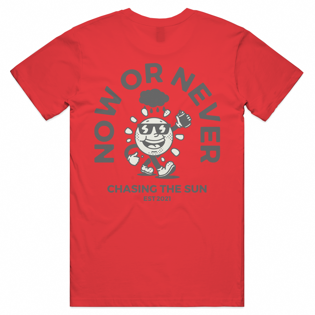'Chasing the sun' (Grey print) Unisex Tee