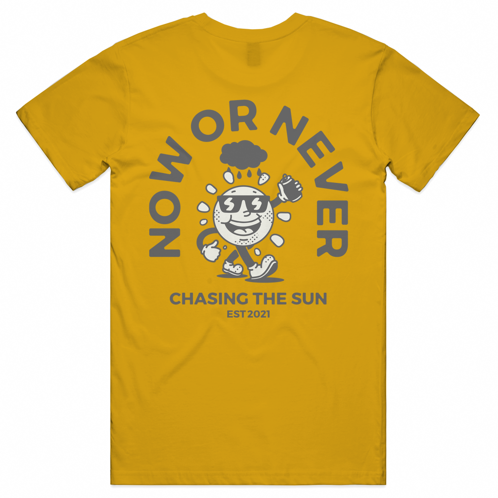 'Chasing the sun' (Grey print) Unisex Tee
